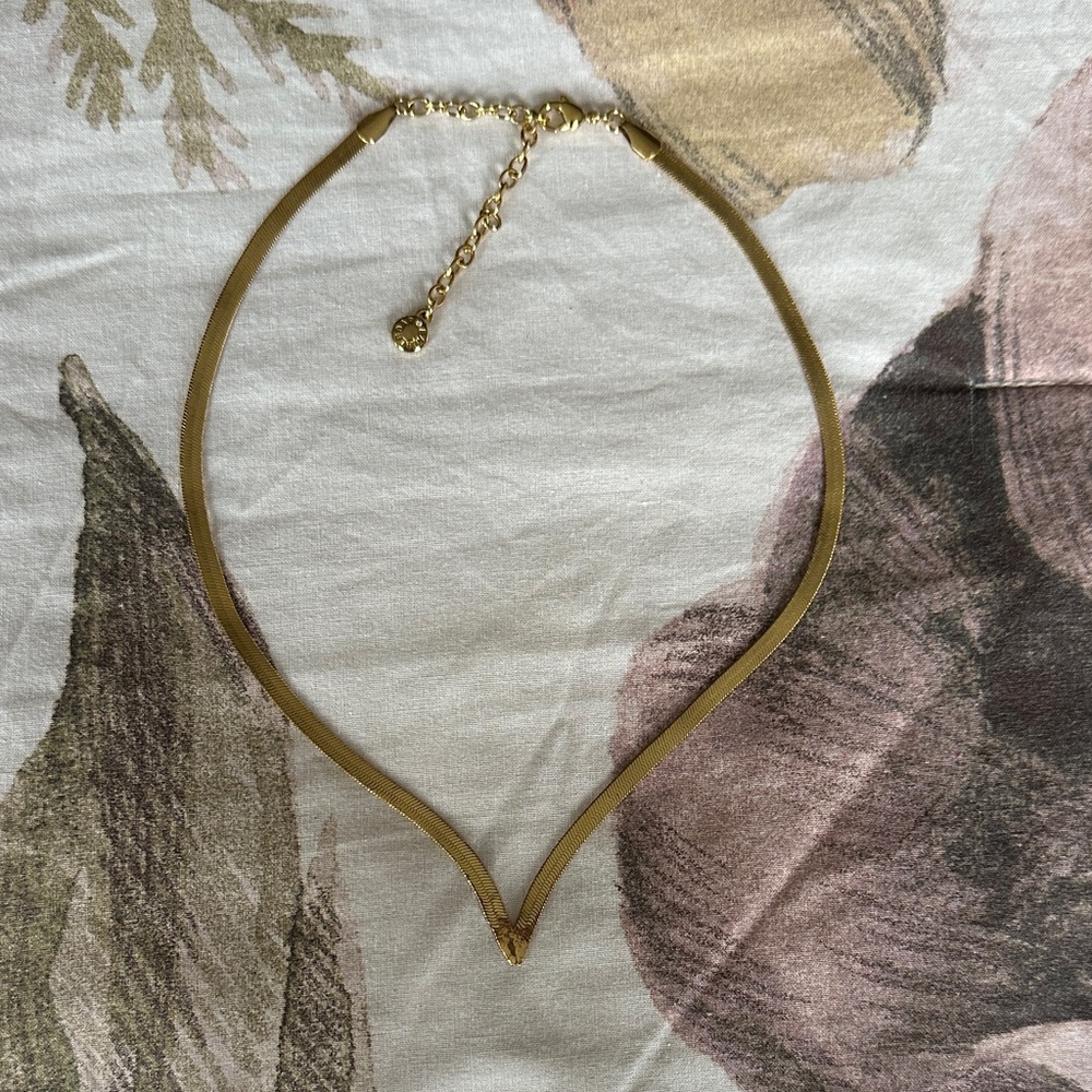 BaubleBar Gold Plated V-Shaped Necklace